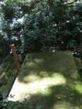image of grave number 260408